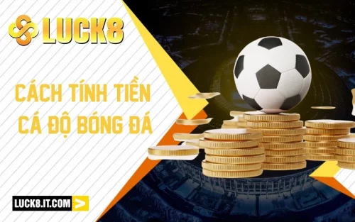 Tìm Hiểu Cách Tính Tiền Cá Độ Bóng Đá Của Nhà Cái LUCK8